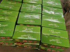 8月10日，利菲爾特開展高溫送清涼活動
